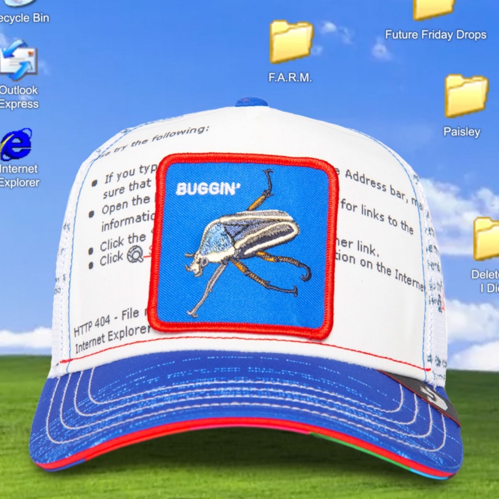NIB Limited Edition Goorin Brothers “Buggin” Beetle Trucker Hat